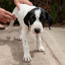 Thumbnail photo of Hilda #3