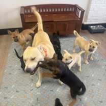 Thumbnail photo of Bruce #3