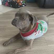 Thumbnail photo of Jax Theodore Willis #1