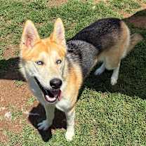 Thumbnail photo of Stella #1