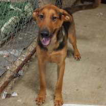 Thumbnail photo of Shane #1