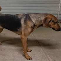 Thumbnail photo of Shane #3