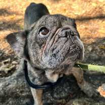 Thumbnail photo of CAPTAIN #1