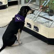 Thumbnail photo of Angel #1