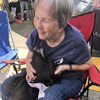 Thumbnail photo of Izzy #4