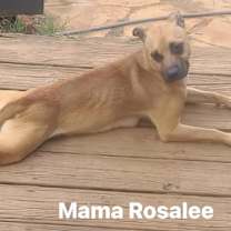 Thumbnail photo of Huck #4