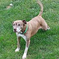 Thumbnail photo of Alicia #1