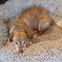 Thumbnail photo of Alicia #2