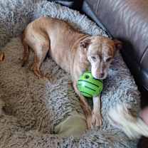 Thumbnail photo of Alicia #4