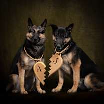 Thumbnail photo of Jeremiah #4