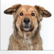 Thumbnail photo of Bairn #2