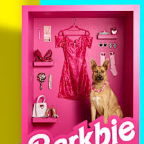 Thumbnail photo of Cardi #4