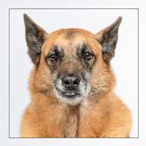 Thumbnail photo of Jack #2