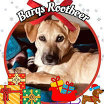 Thumbnail photo of Barq's Root Beer #1