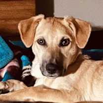 Thumbnail photo of Barq's Root Beer #4