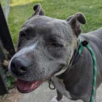 Thumbnail photo of Jasmine - 20D24 #3