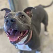 Thumbnail photo of Jasmine - 20D24 #4