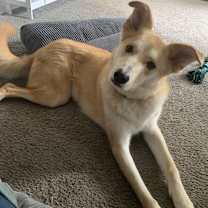 Thumbnail photo of Mac #4