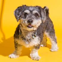 Thumbnail photo of Brad #1