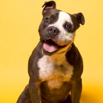 Thumbnail photo of Cora #2