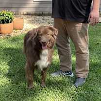 Thumbnail photo of Lotto #4