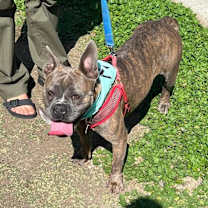 Thumbnail photo of Gigi #1