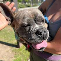 Thumbnail photo of Gigi #3