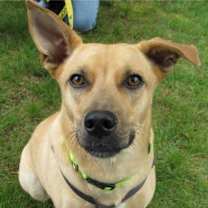 Thumbnail photo of Layne #2