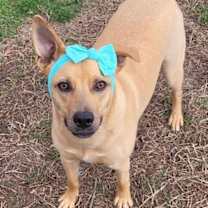 Thumbnail photo of Layne #3