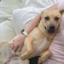 Thumbnail photo of Layne #4