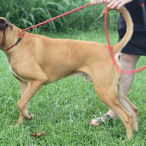 Thumbnail photo of Blu (Photos 6/20/2025) #3