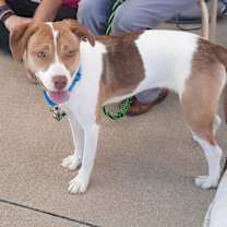 Thumbnail photo of Amy #1