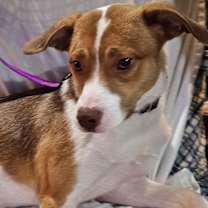 Thumbnail photo of Amy #2