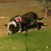 Thumbnail photo of Queen #1