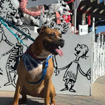 Thumbnail photo of Happy #3