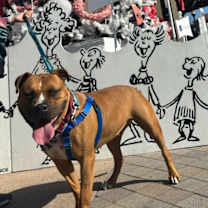 Thumbnail photo of Happy #4