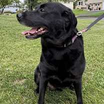 Thumbnail photo of Wilma #4