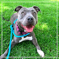 Thumbnail photo of SHIRLEY #1