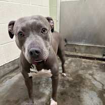 Thumbnail photo of SHIRLEY #3