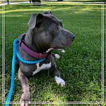 Thumbnail photo of SHIRLEY #4