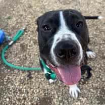 Thumbnail photo of Sebastian #3