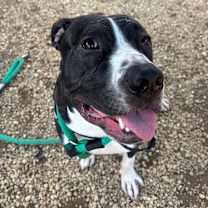 Thumbnail photo of Sebastian #4