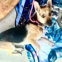 Thumbnail photo of NELLA #3