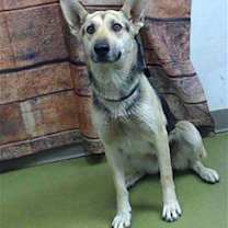 Thumbnail photo of NELLA #1