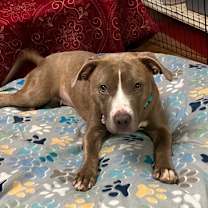 Thumbnail photo of Sylvia 1977 #2