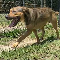 Thumbnail photo of Frank #2