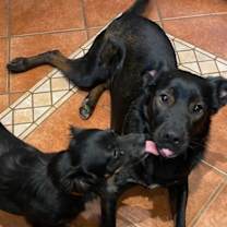 Thumbnail photo of Wilfred #3