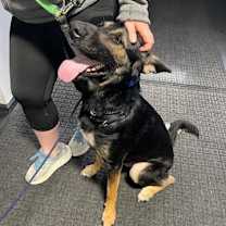 Thumbnail photo of Max (& his rock) #2