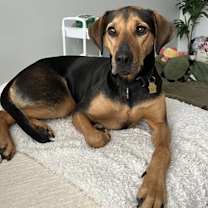 Thumbnail photo of Rey #2