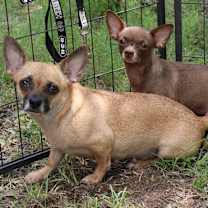 Thumbnail photo of Missy Gorda #1